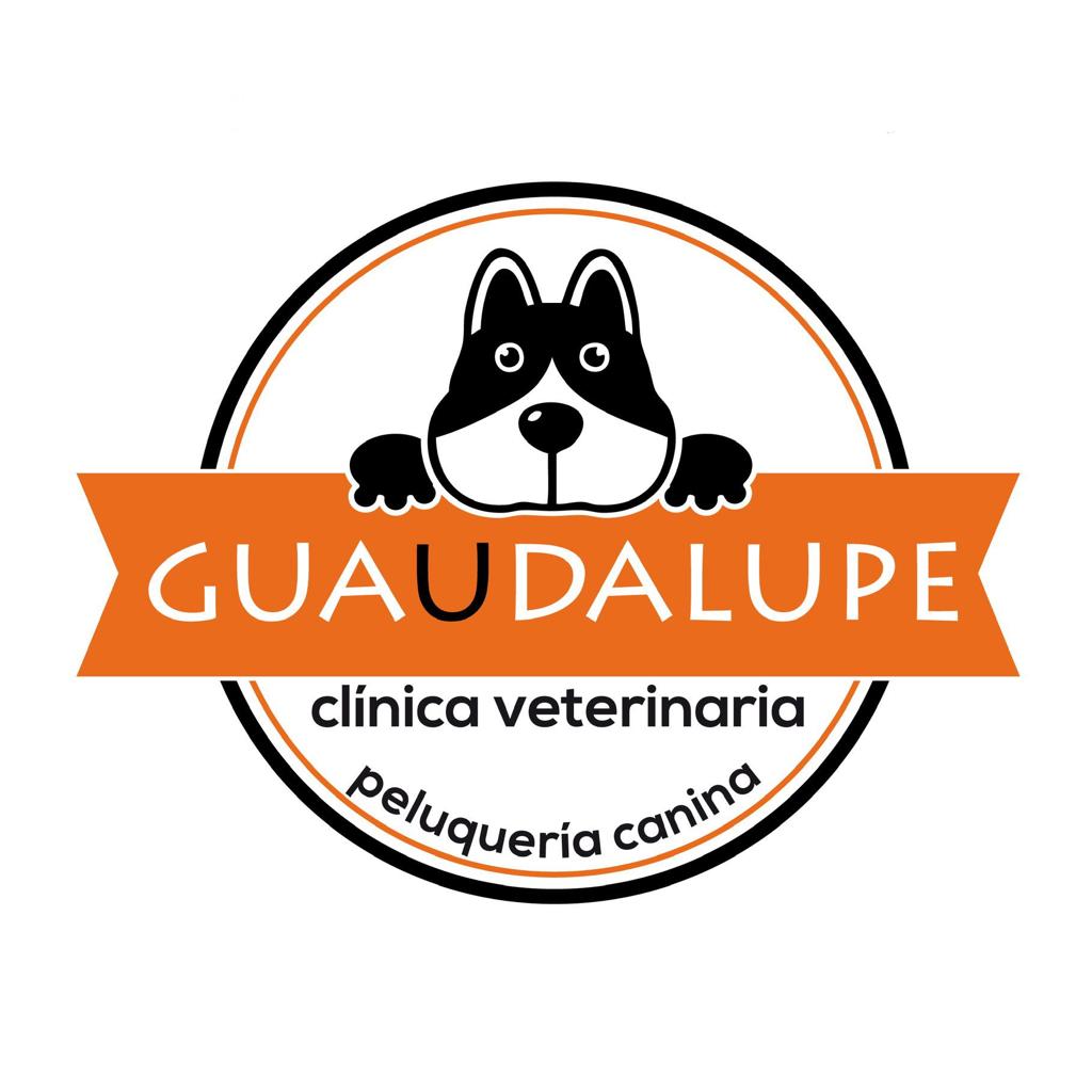 Entrevista GUADALUPE